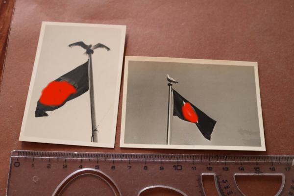 zwei alte Fotos - Möwe auf Fahnenmast - Hakenkreuzfahne